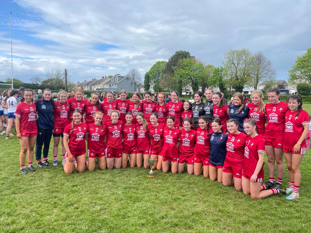 U16 – Louth GAA